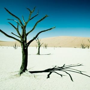 Meet your Posher, Communication,